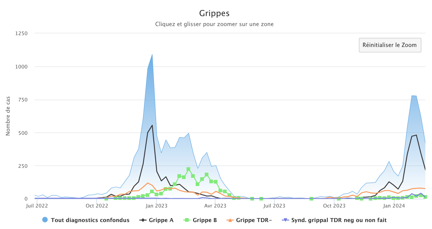 Grippes 190224